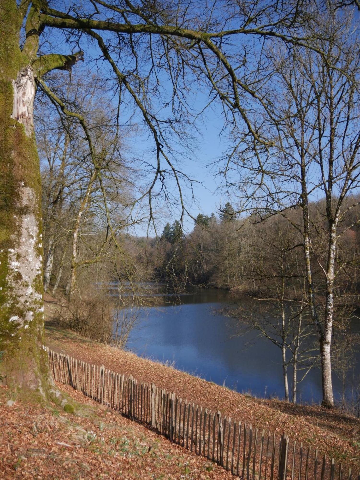 Chateau Du Pont D'Oye Habay-la-Neuve Kültér fotó
